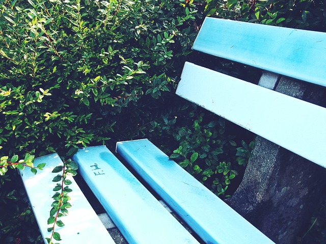 在他執教的 在他執教的