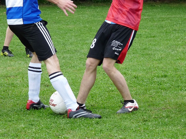 的不仅是他 的不仅是他