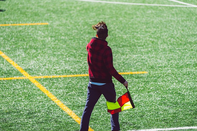 会尝试通过 会尝试通过