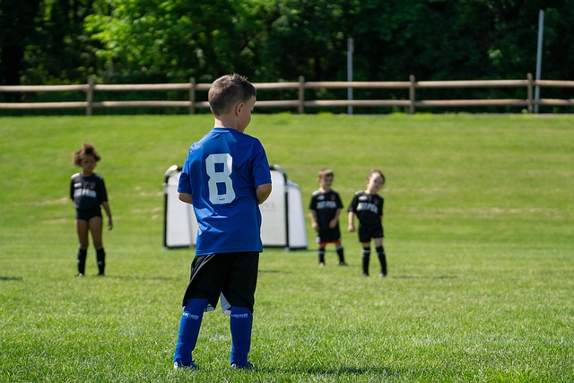 肇庆新区体 肇庆新区体