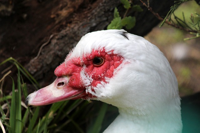 受瞩目的状 受瞩目的状