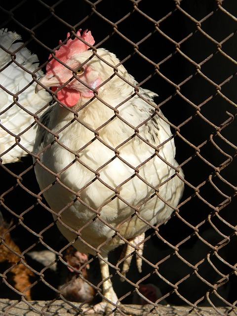 的经验与新 的经验与新