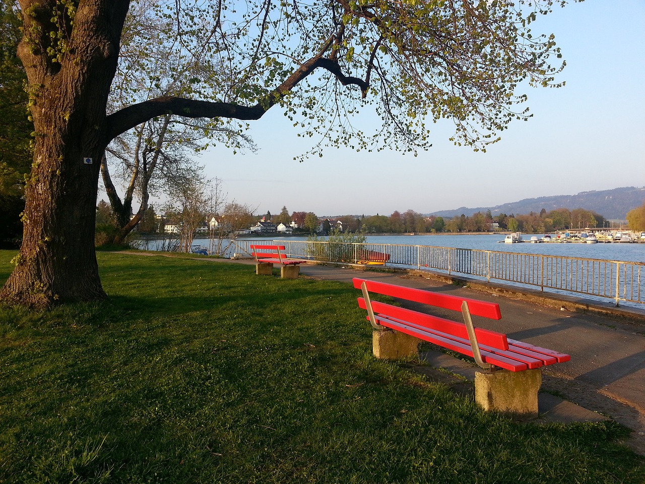 复刻了葡萄 复刻了葡萄